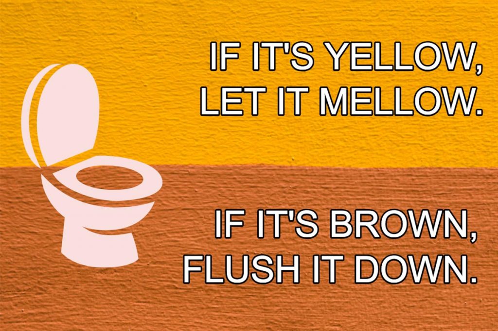 * If It’s Yellow, Let It Mellow. If It’s Brown, Flush It Down. Or Not