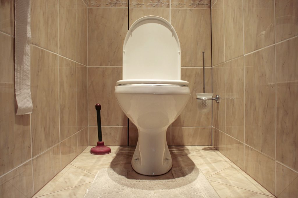 * Siphonic Jet vs. Gravity Fed Toilet Which One to Choose? Bathroom