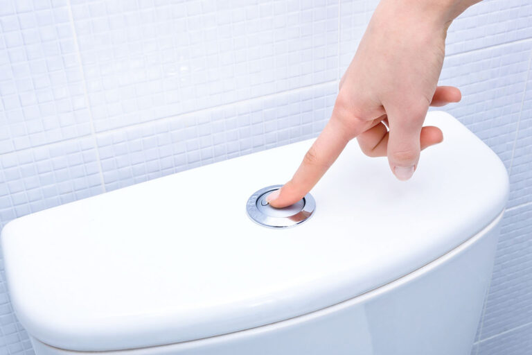 * Why Is My Toilet Water Brown? (& How to Fix It) Bathroom World