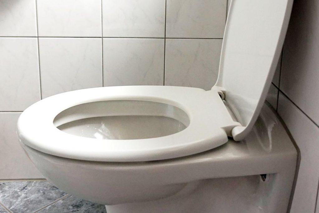 * What Types of Toilet Seats Exist and Which One Should You Get