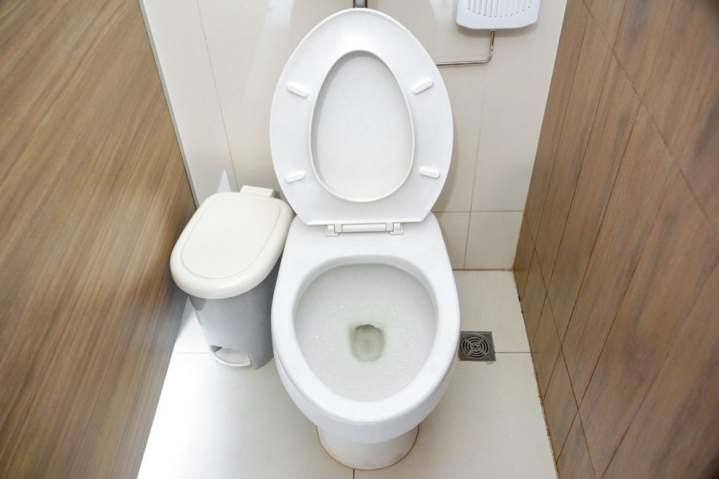 * Elongated vs. Round Toilet Which One to Choose? Bathroom World