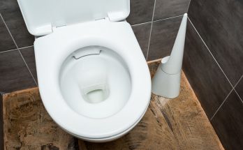 Elongated vs. Round Toilet: Which One to Choose?