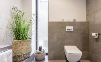 Wall-Hung vs. Floor-Mounted Toilet: Which One to Choose?