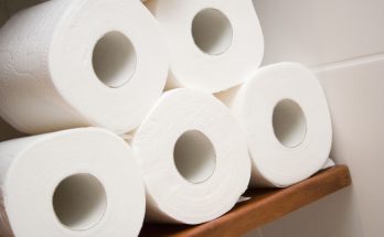 Bidet vs. Toilet Paper: Which Is Better?