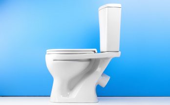 How to Find American Standard Toilet Model Number