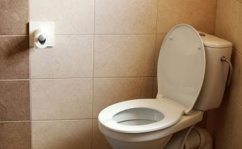 How to Replace a (Broken) Toilet Seat and Lid