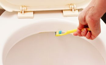 How to Clean Toilet Jets (Bacteria, Minerals & Other Debris)