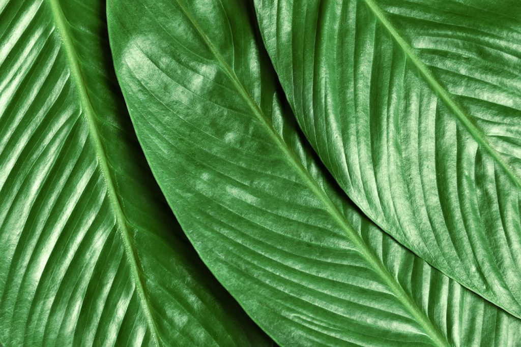 * 13 Best Toilet Paper Alternatives to Use Bathroom World