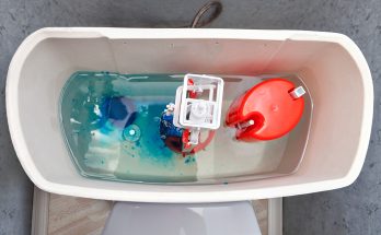 All the Toilet Parts You Need to Know (Names & Descriptions)