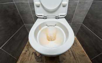 How to Unclog a Toilet Without a Plunger