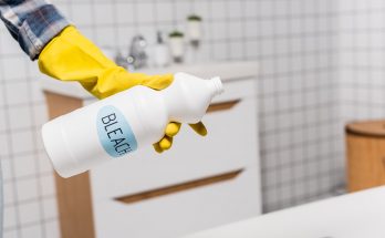 Can (and Should) You Put Bleach in Toilet Tank?