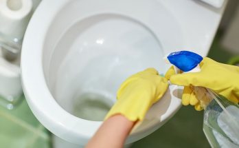 How to Clean a Toilet Without a Brush