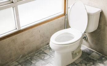 Are Toilet Seats Universal? (& How to Measure Them)