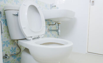 Best Two-Piece Toilets