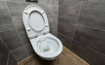 Best Slow Close Toilet Seats
