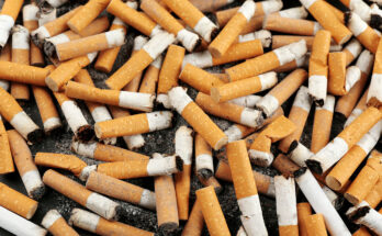 Can You Flush Cigarettes Down the Toilet?
