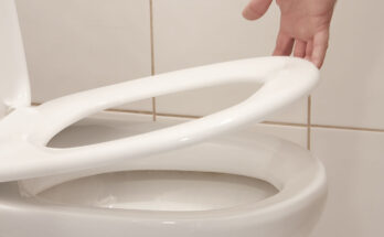Toilet Seat Won't Stay Up