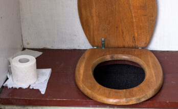 Wood vs. Plastic Toilet Seat